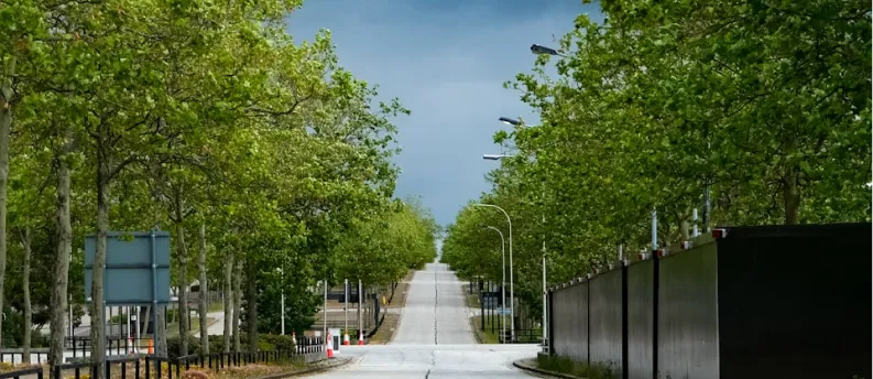 Tree-lined road in Northamptonshire
